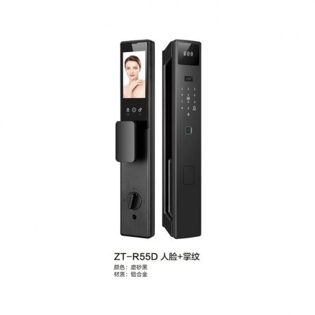 ZT-R55D