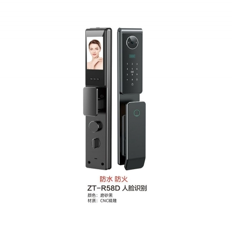 ZT-R58D